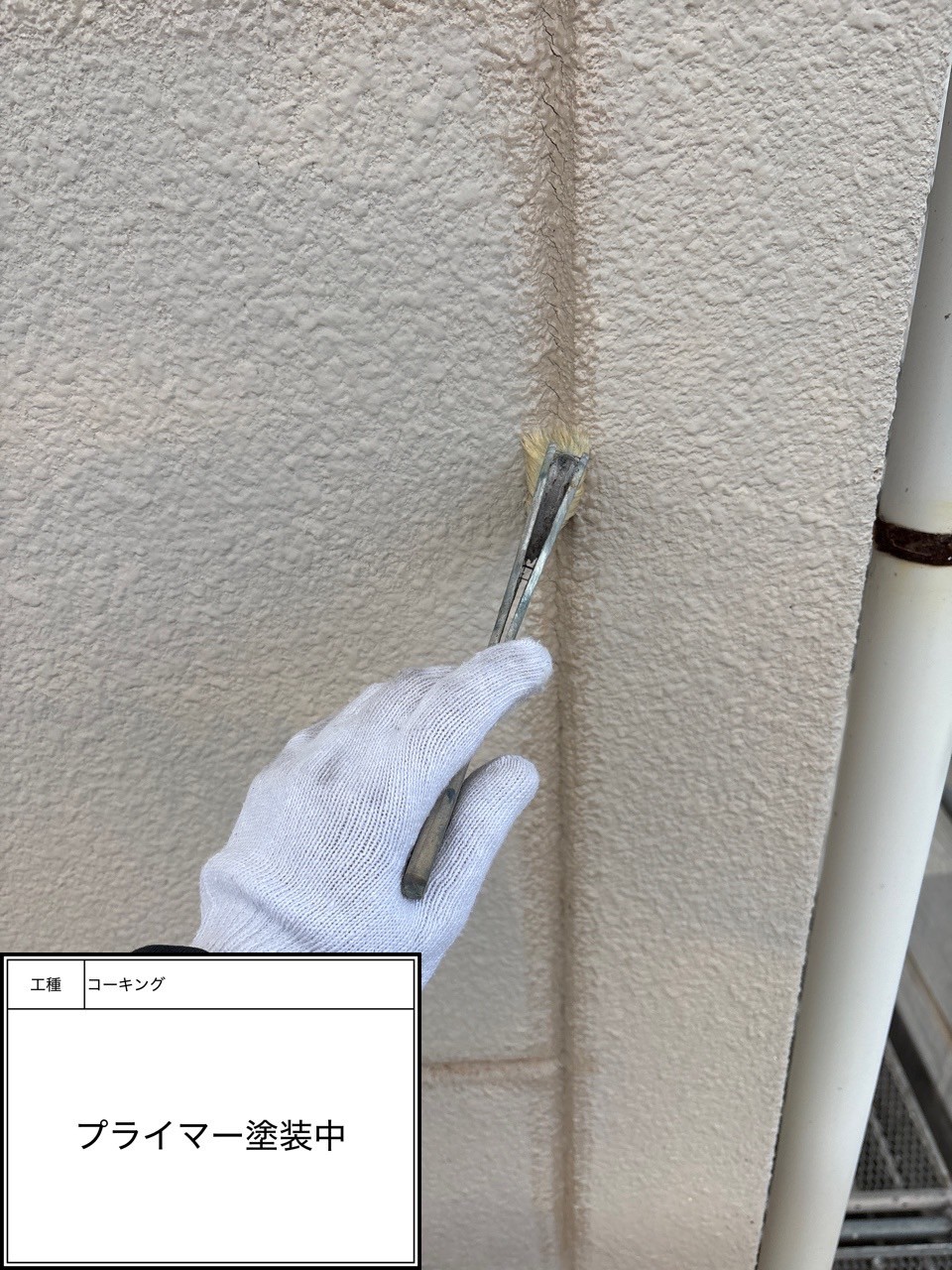 プライマー（施工中）