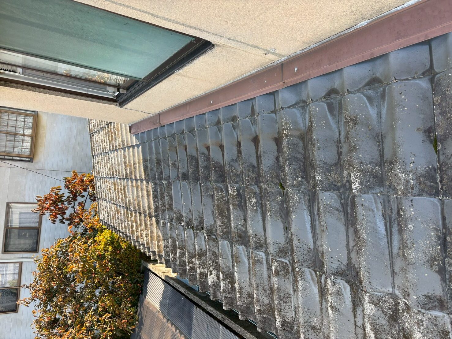 Before image