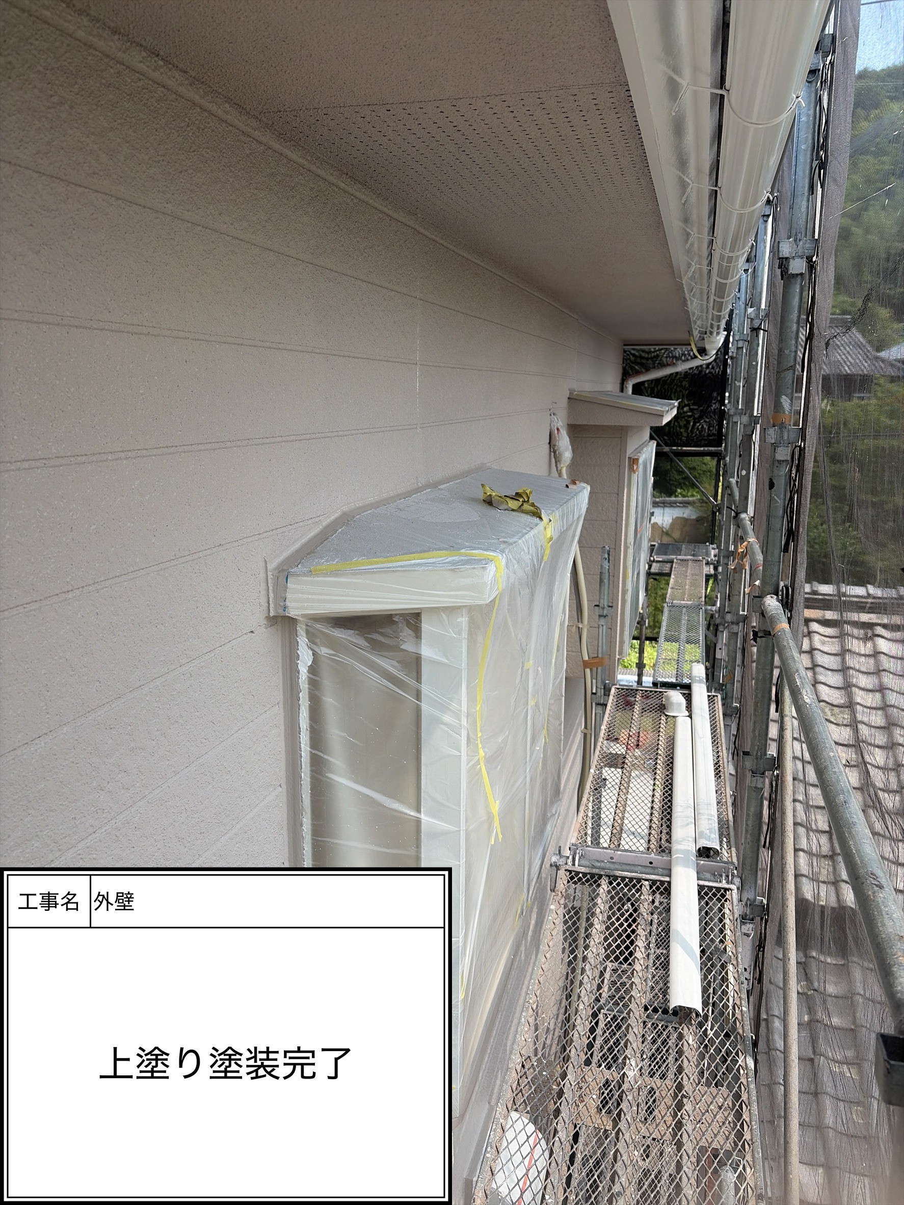 外壁上塗り（施工完了）