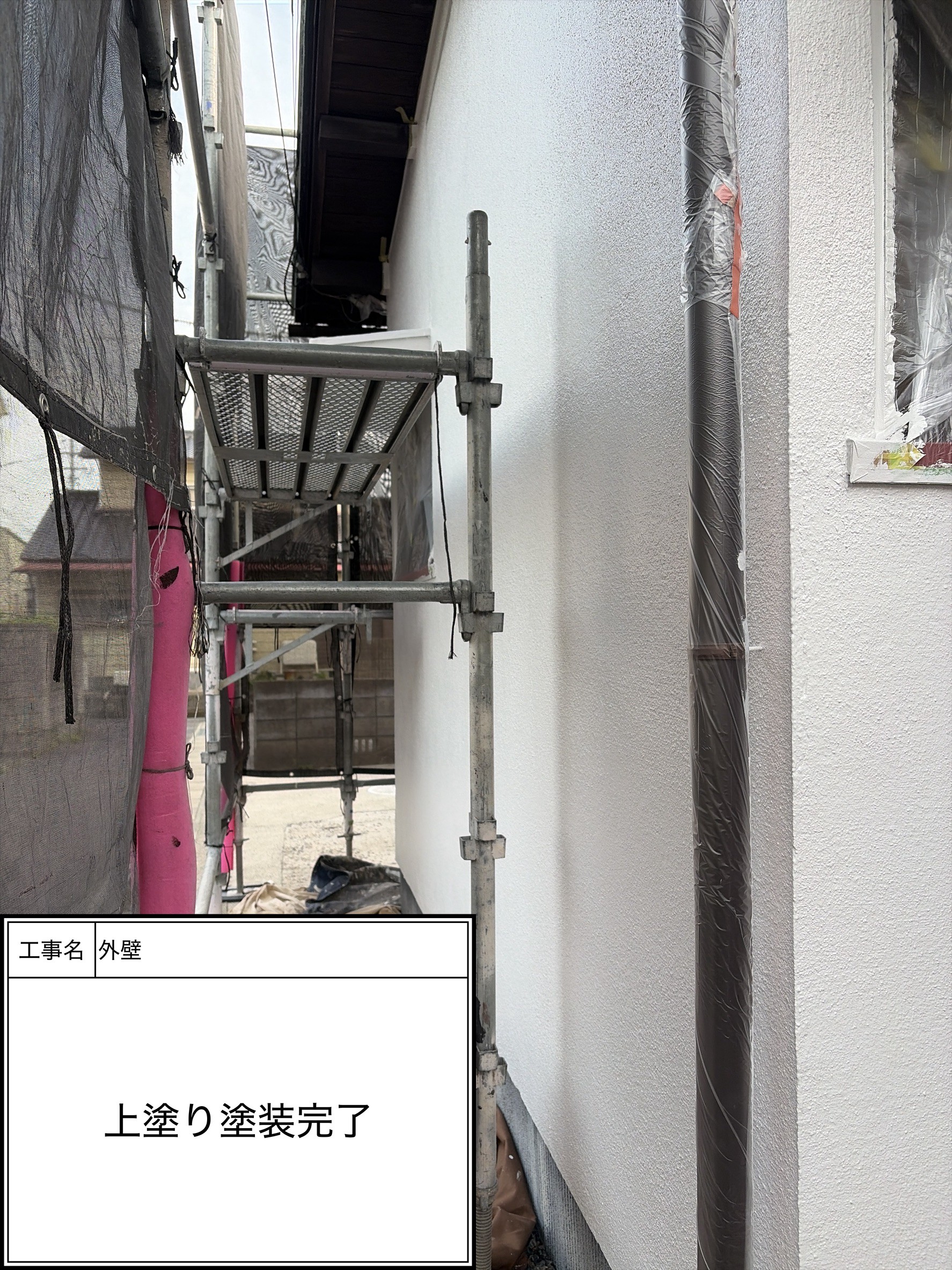 外壁上塗り（施工完了）