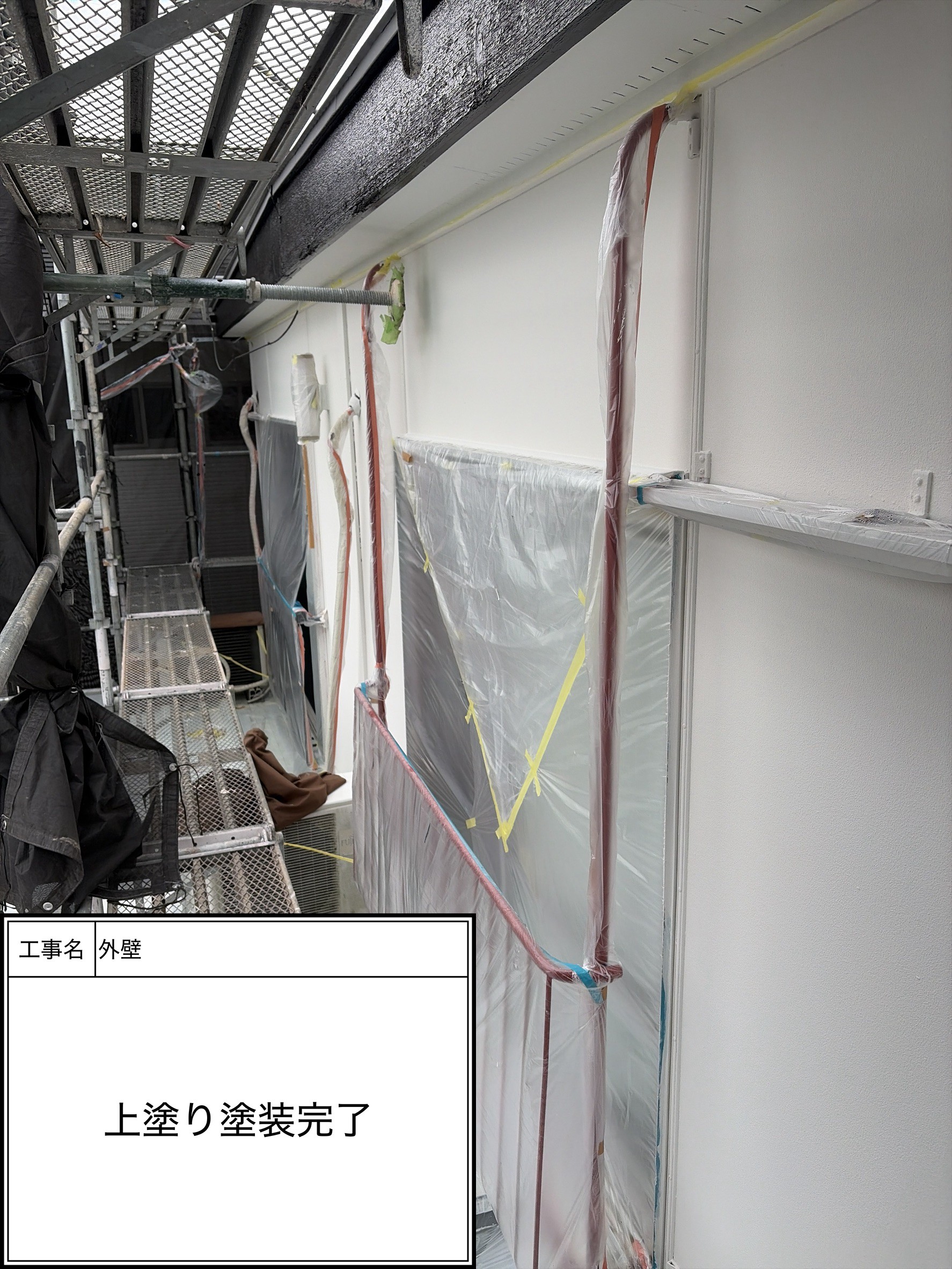 外壁上塗り（施工完了）