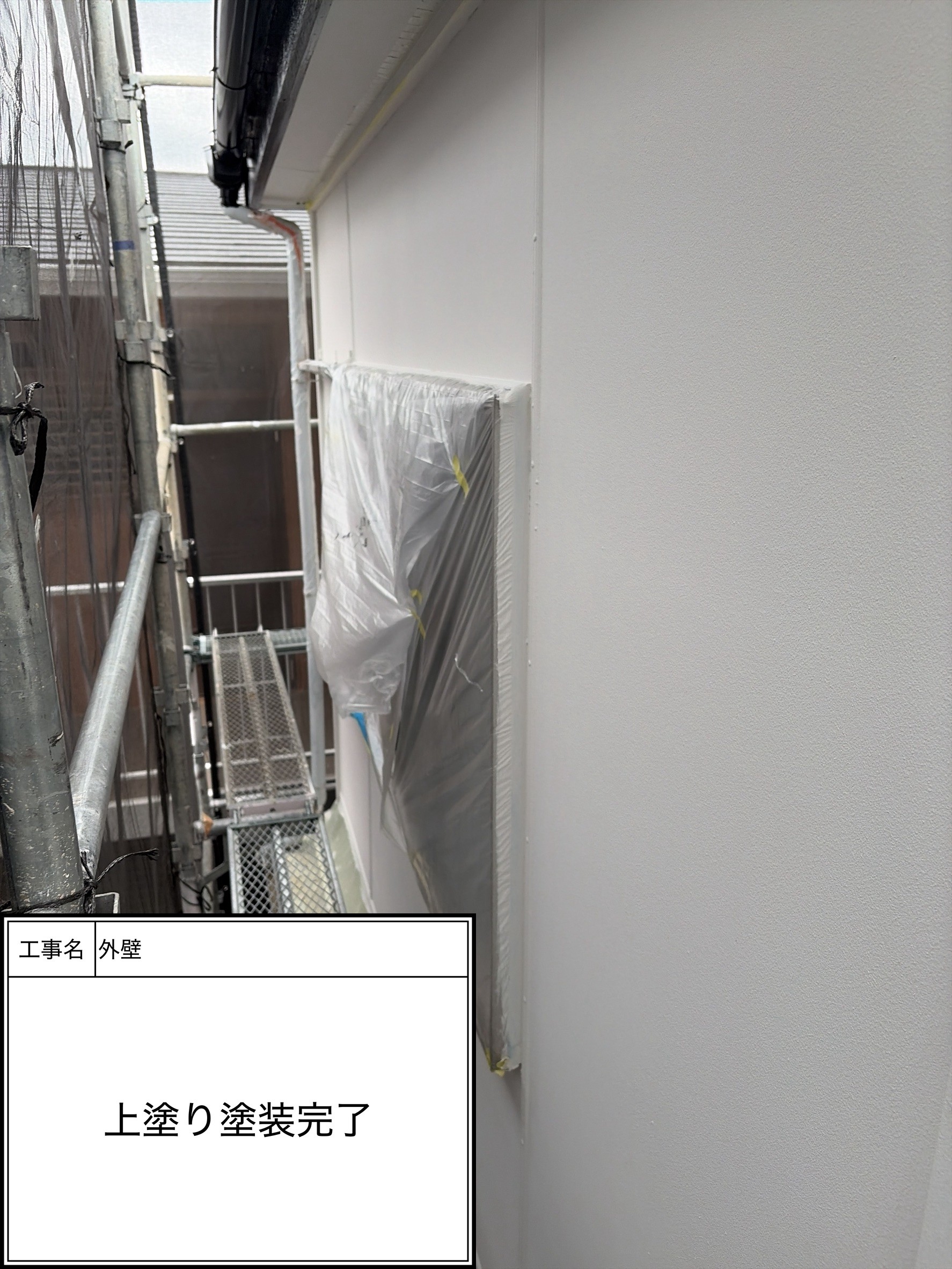 外壁上塗り（施工完了）