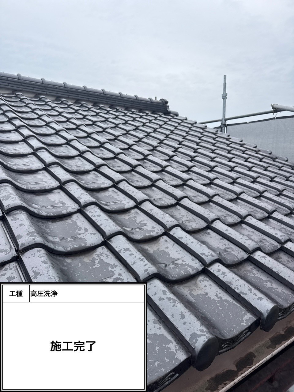 サービス洗浄（施工完了）