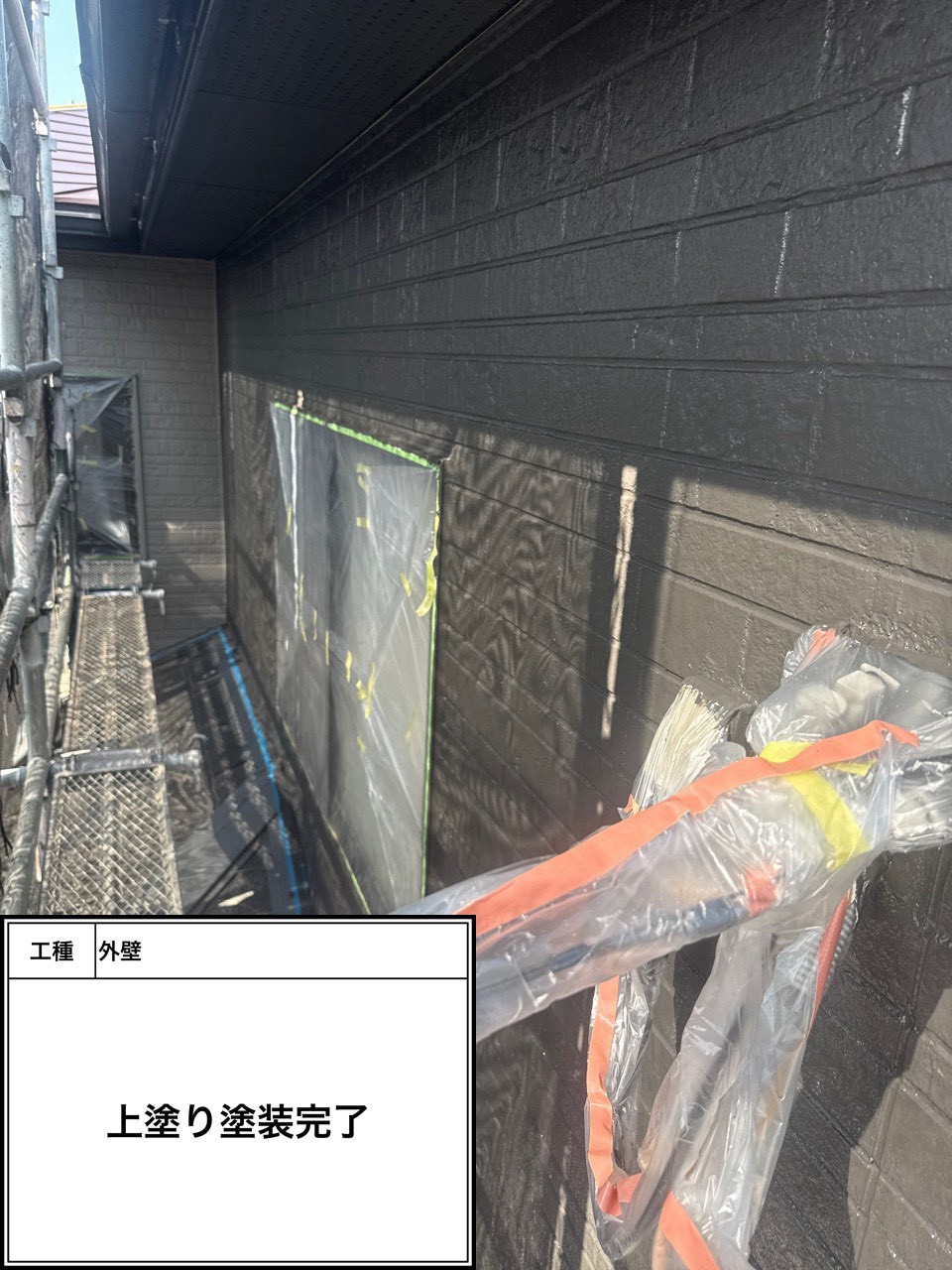 外壁上塗り（施工完了）
