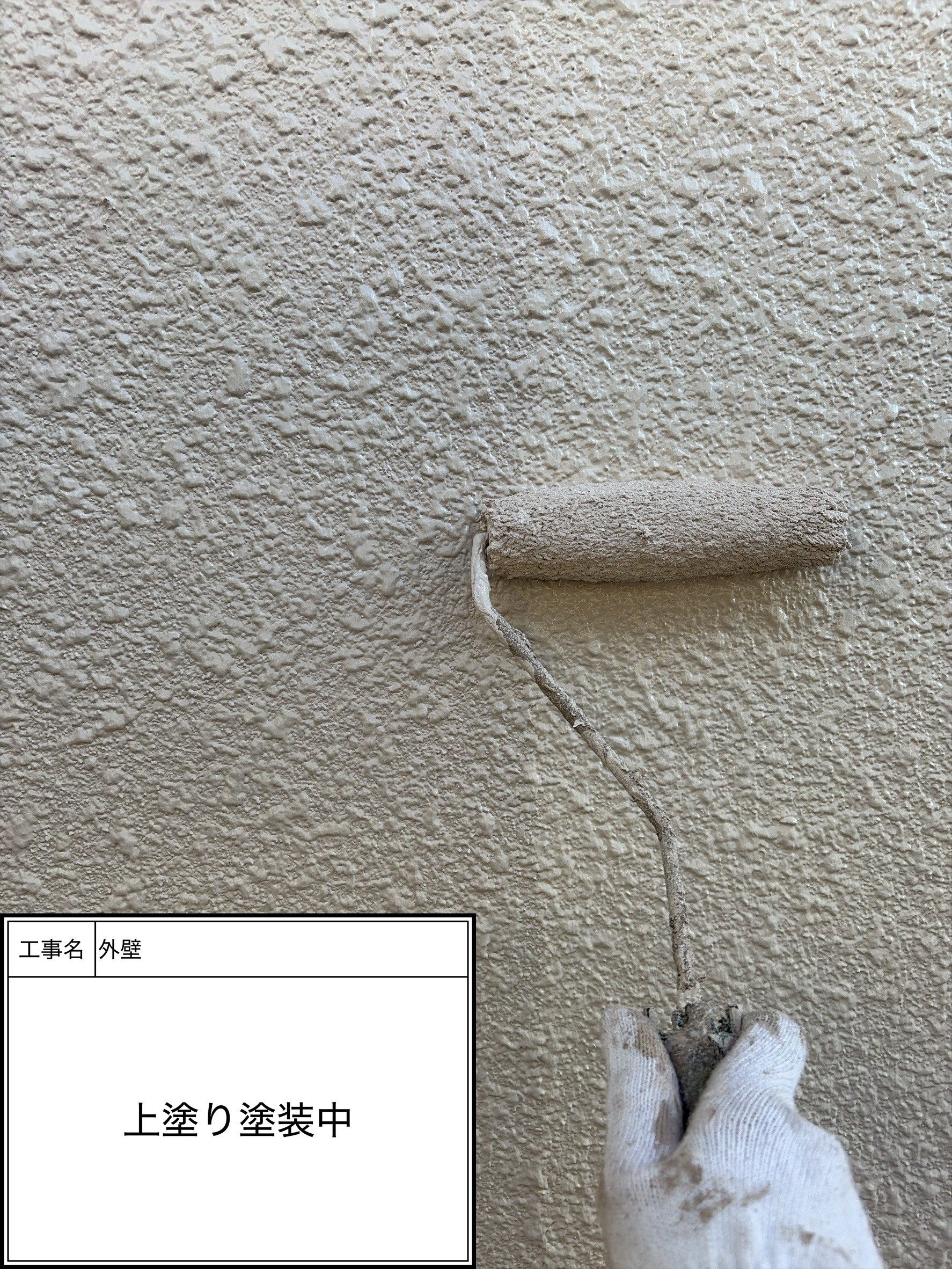 外壁上塗り（施工中）