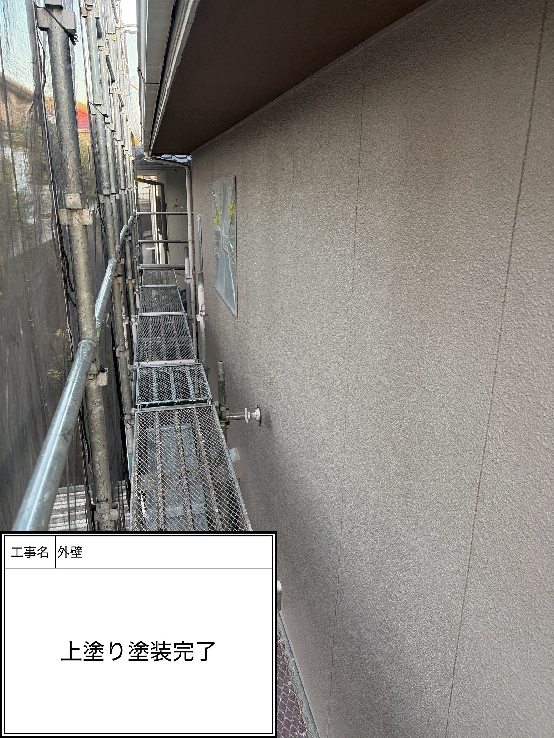 外壁上塗り（施工完了）
